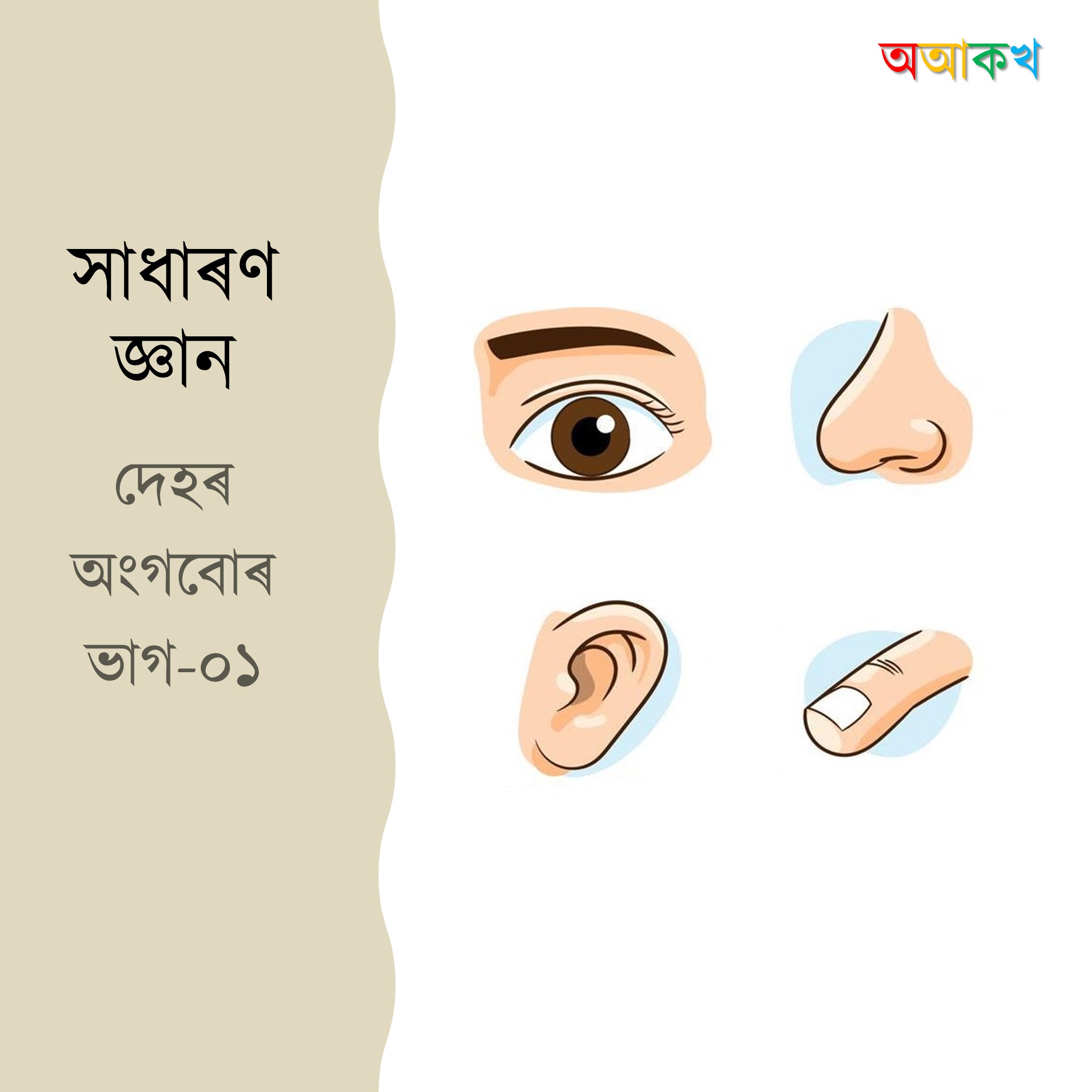 দেহৰ অংগবোৰ ভাগ ১