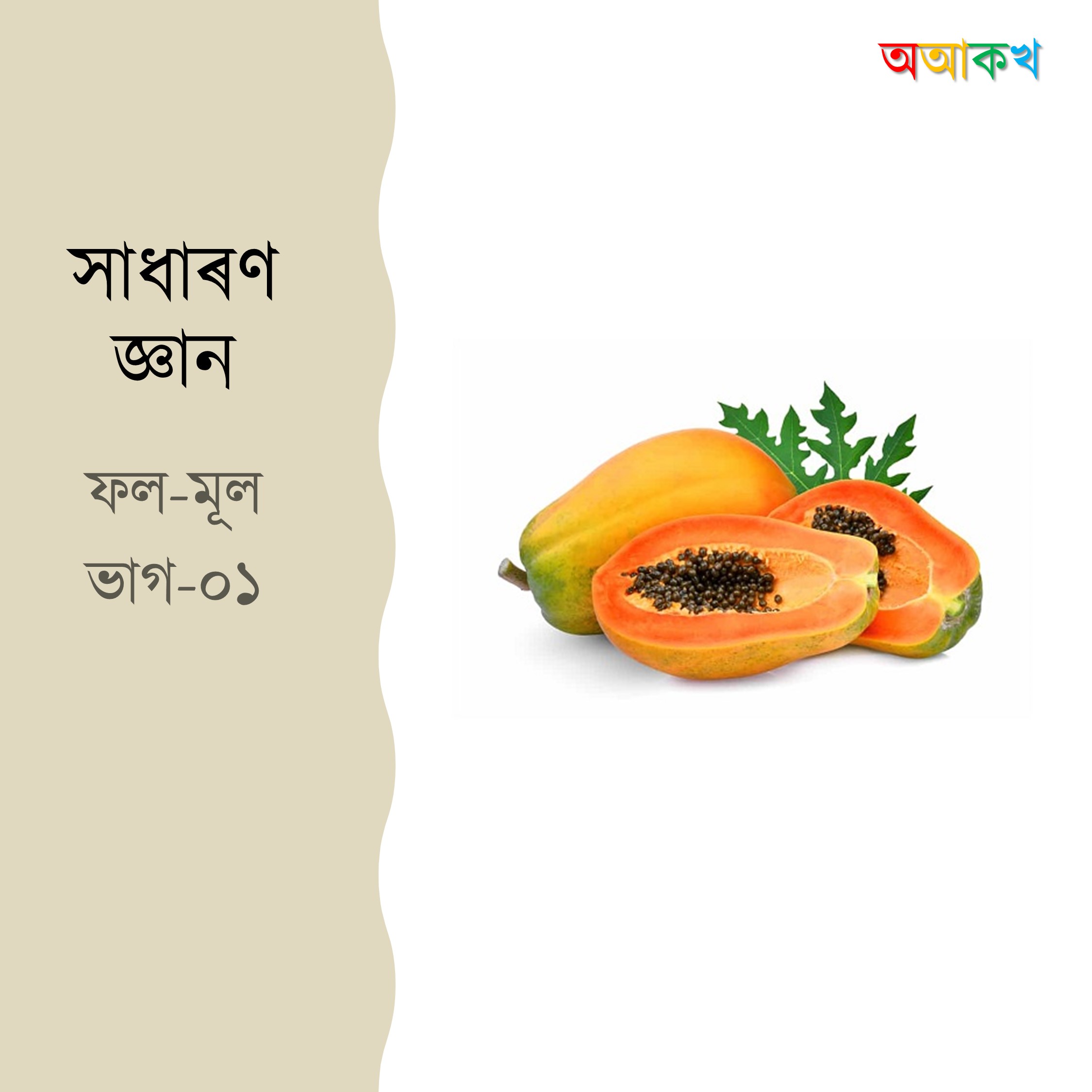 ফল-মূল ভাগ ১