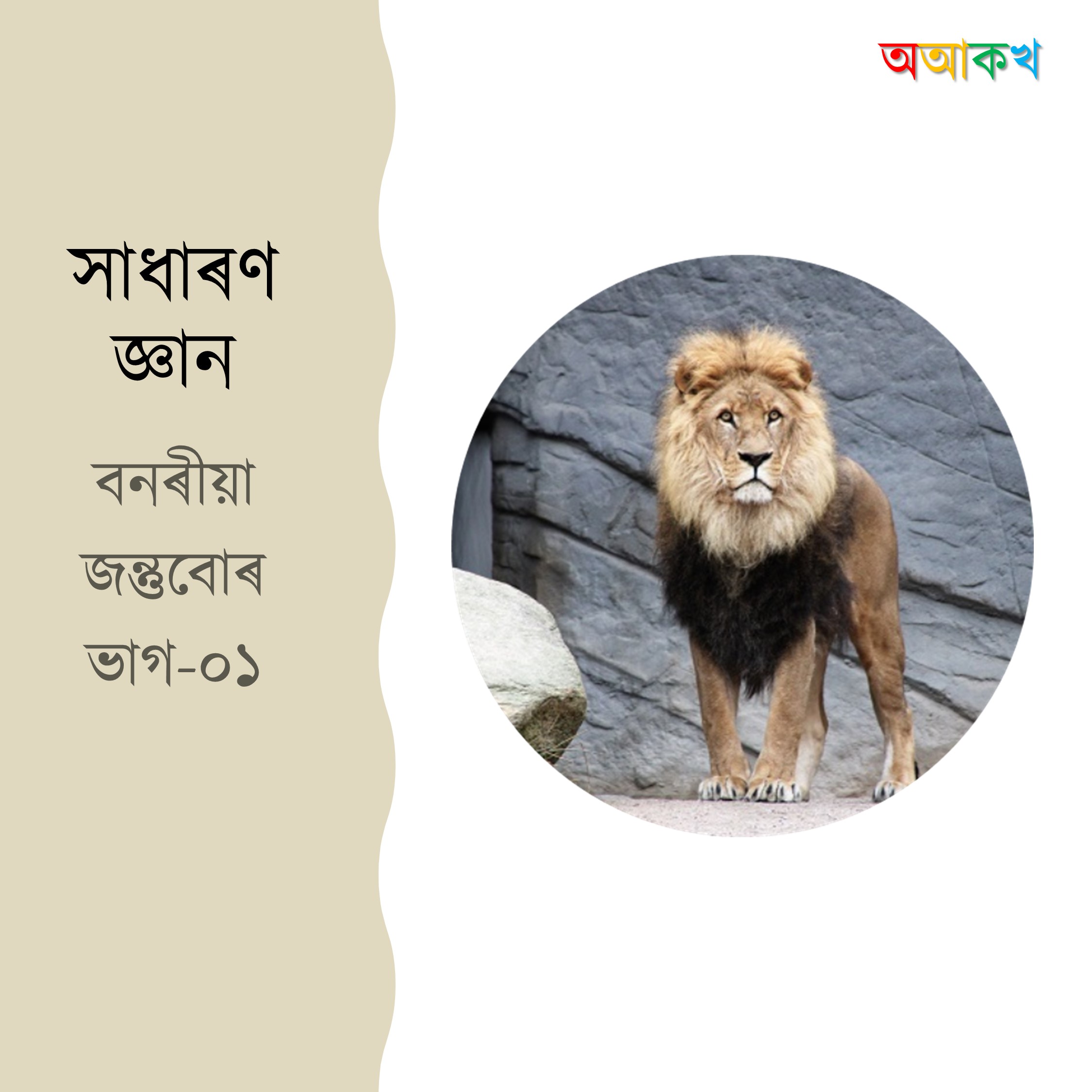 বনৰীয়া জন্তুবোৰ ভাগ ১