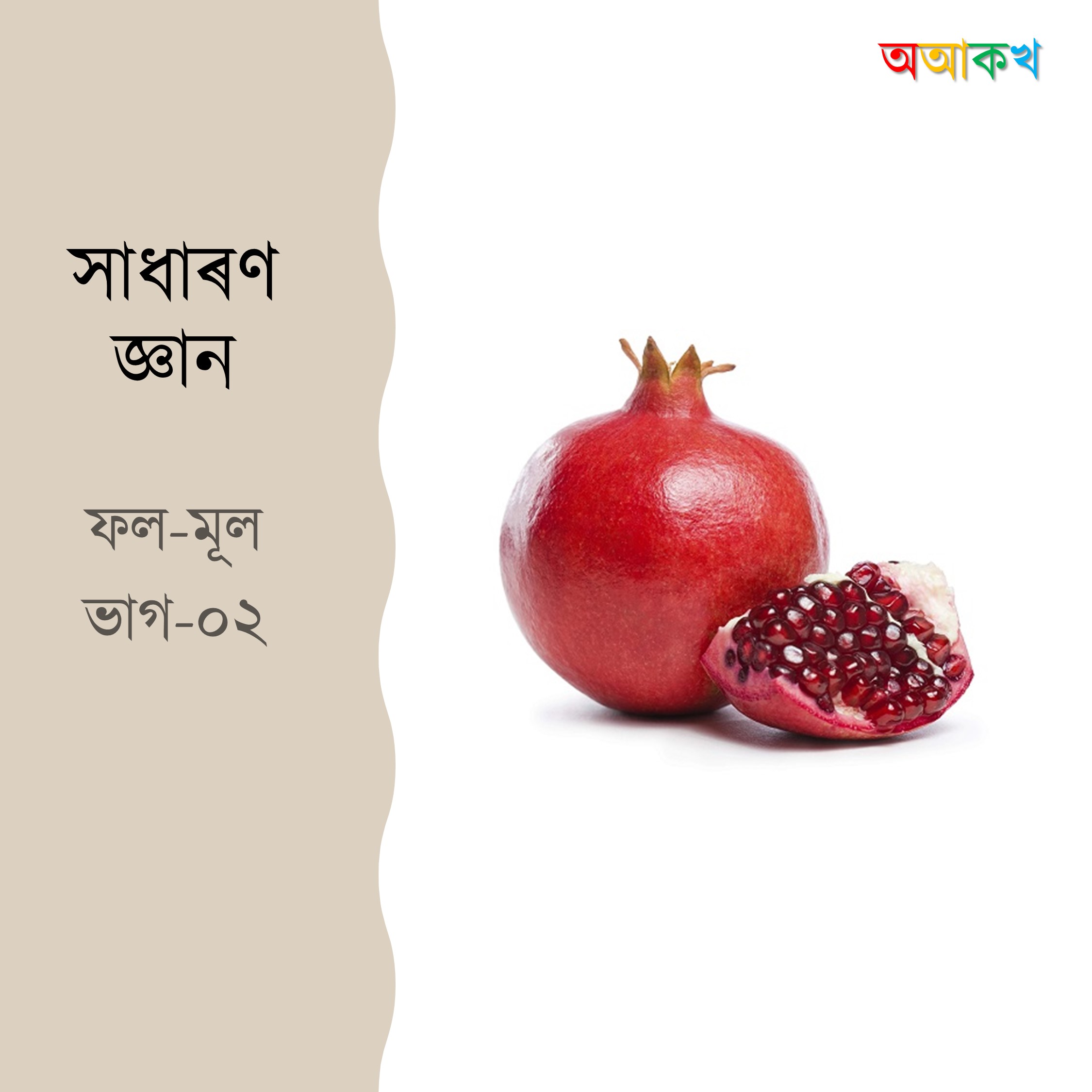 ফল-মূল ভাগ ২