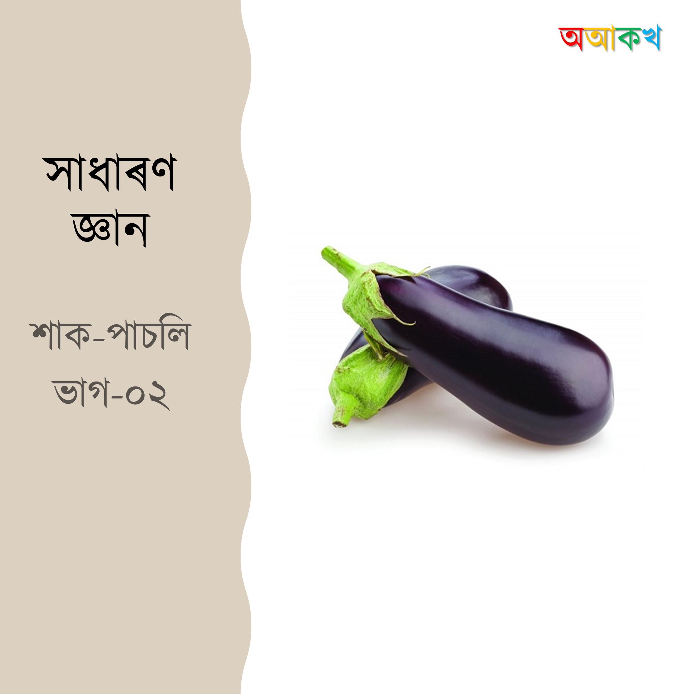 শাক-পাচলি ভাগ ২