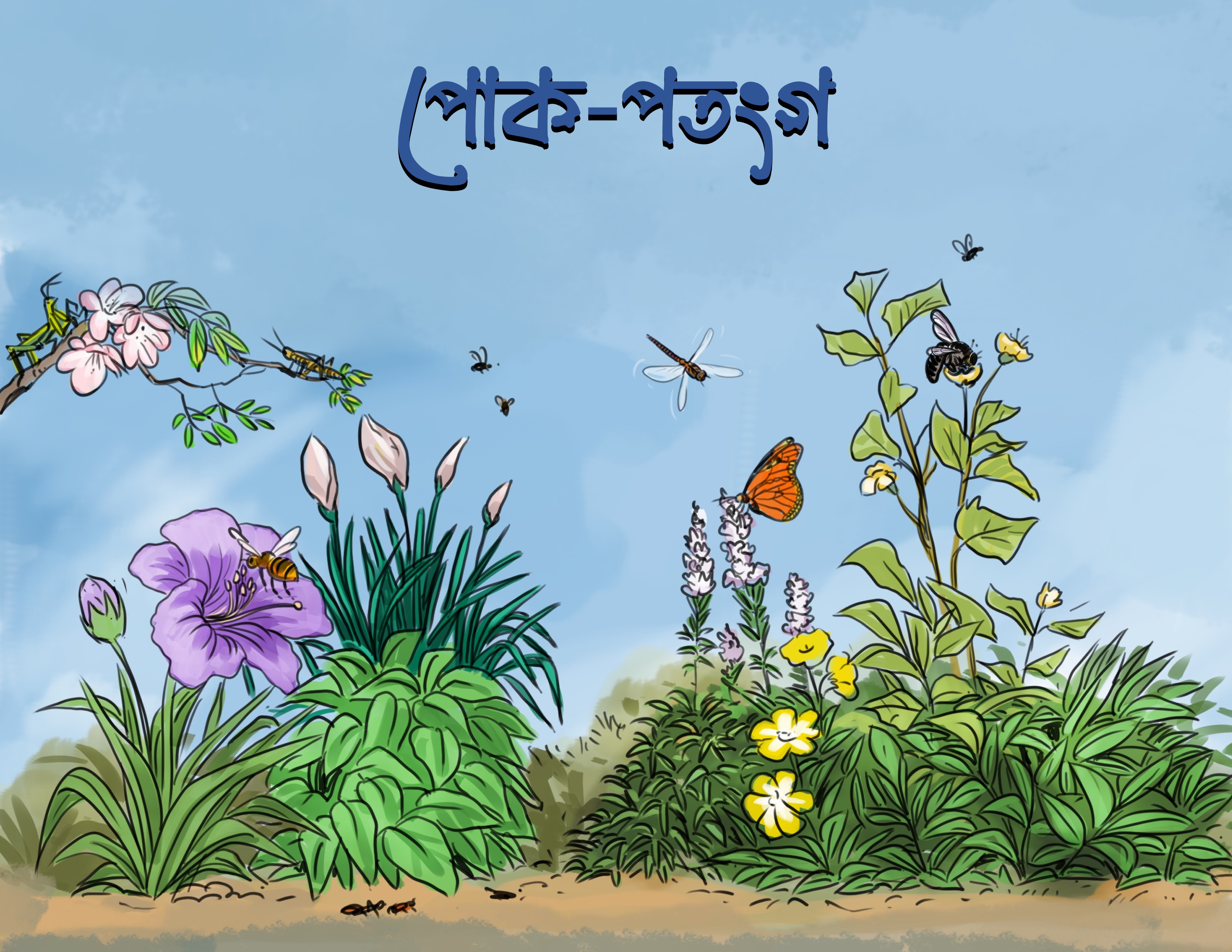 পোক-পতংগ